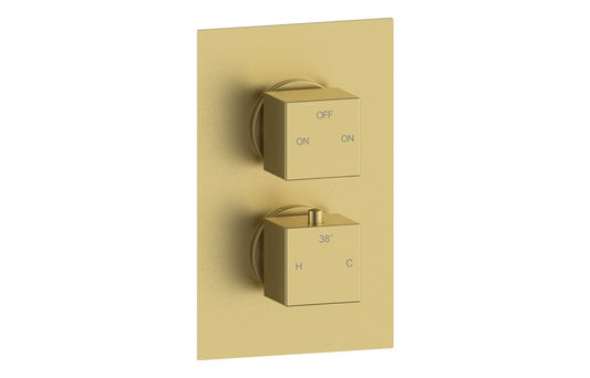 Dee Thermostatic Two Outlet Twin Shower Valve - Brushed Brass