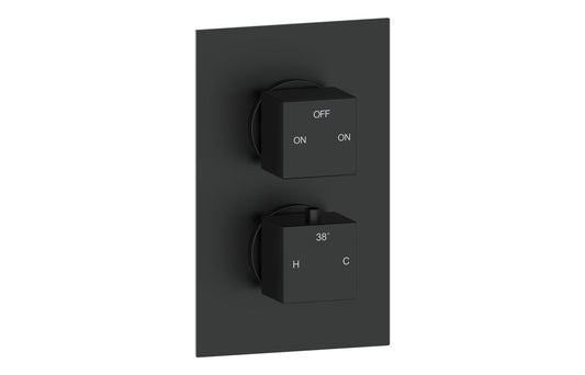 Dee Thermostatic Two Outlet Twin Shower Valve - Matt Black